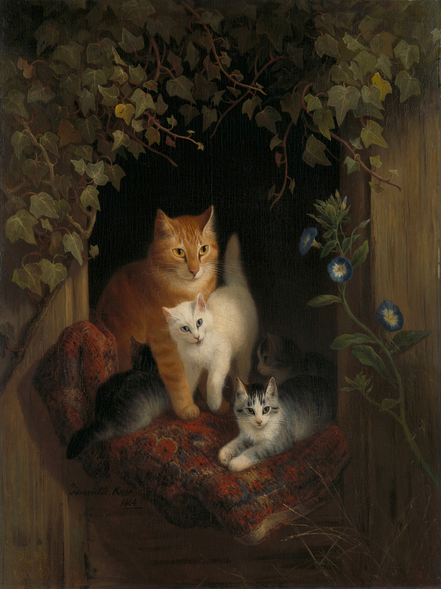 Cat with kittens. Date: 1844. Institution: Rijksmuseum.